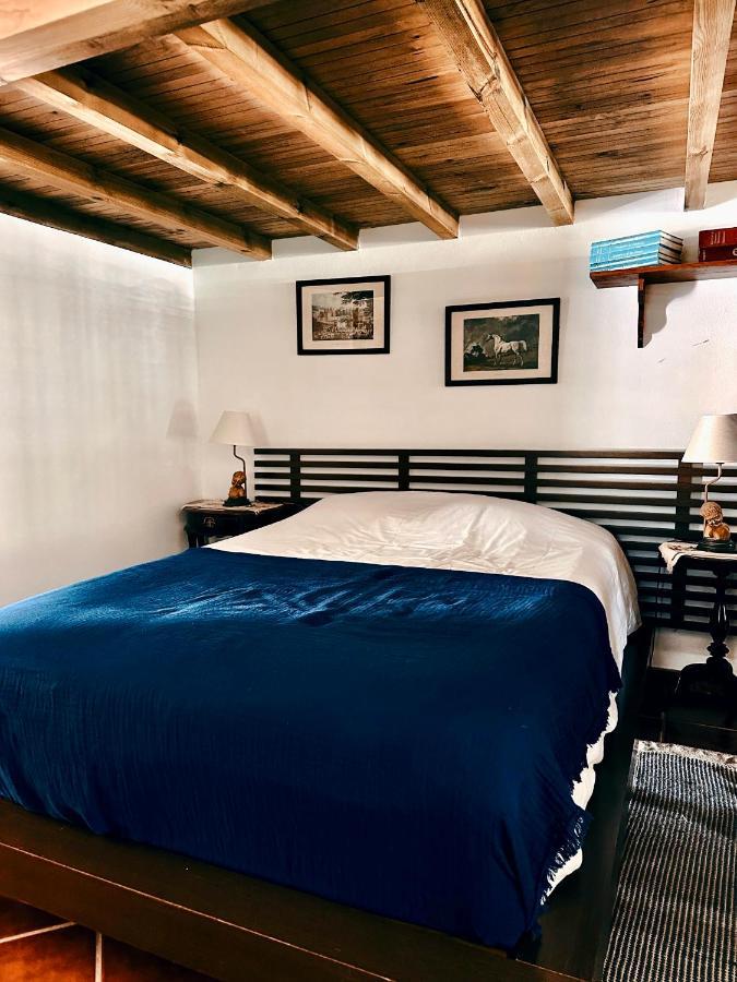 Casa Girassol With A Beautiful Private Pool And Garden Villa Sintra Ngoại thất bức ảnh