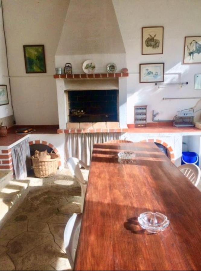 Casa Girassol With A Beautiful Private Pool And Garden Villa Sintra Ngoại thất bức ảnh
